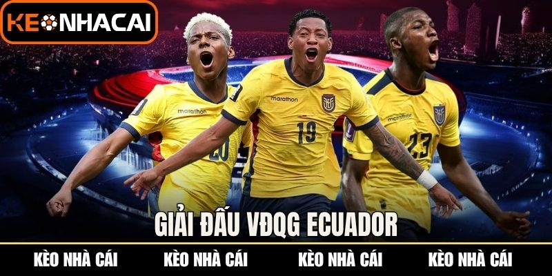 Giải đấu VĐQG Ecuador