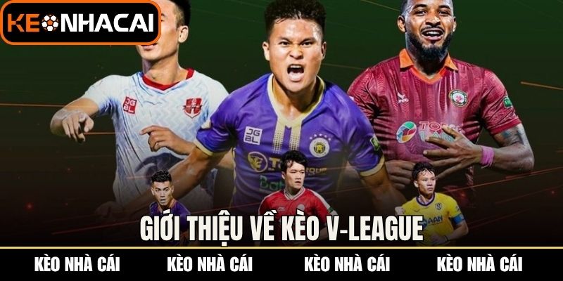 Giới thiệu về kèo V-league